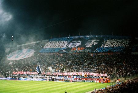 10-OM-PSG 14.jpg